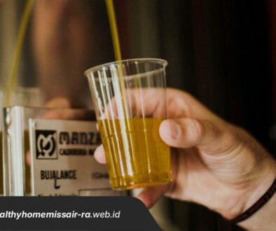 Healty Home Miss Air-Ra Artikel1