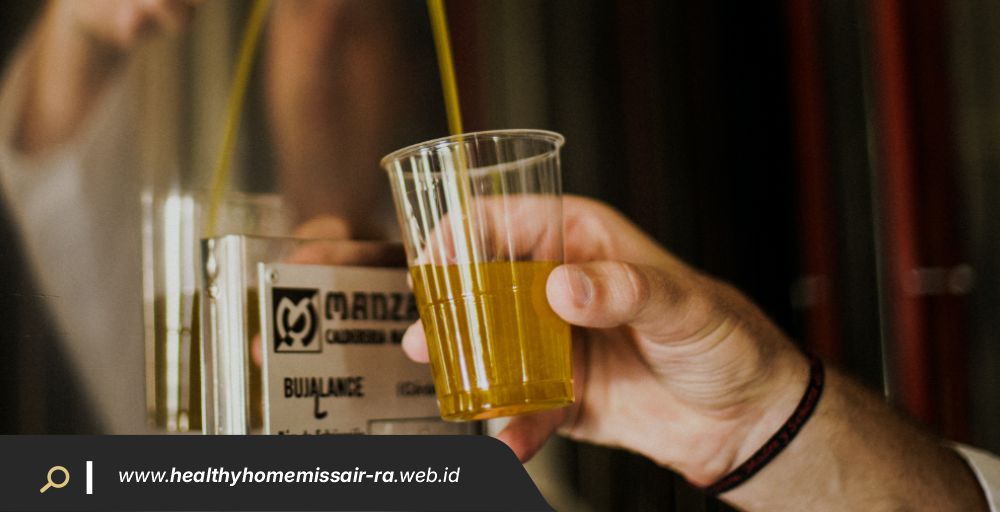 Healty Home Miss Air-Ra Artikel1
