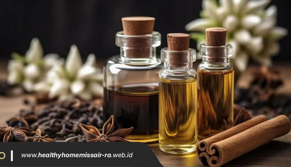 Healty Home Miss Air-Ra Artikel2 Healty Home Miss Air-Ra Artikel2
