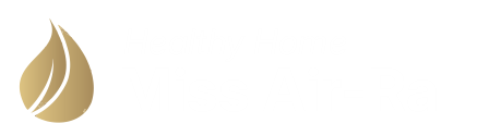 Healthy Home Miss Air-Ra
